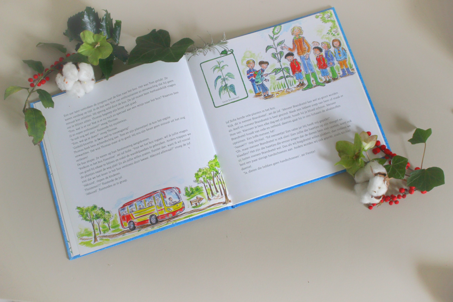 Kinderboek De boswandelingdoor Heidi als Caranella